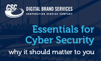 Essentials for Cyber Security