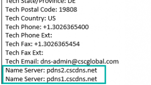DNS provider